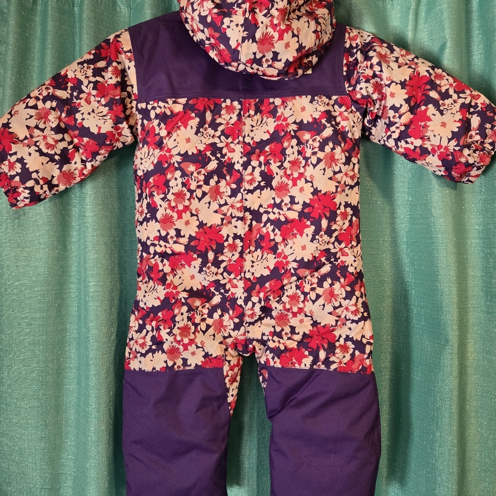 The North Face Purple and Pink Snowsuit - Picture 2 of 7